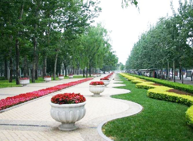 蘇州持續(xù)40度高溫天氣，景觀園林綠化養(yǎng)護技術(shù)